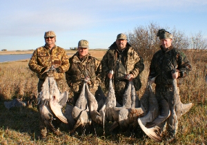 cranes1a