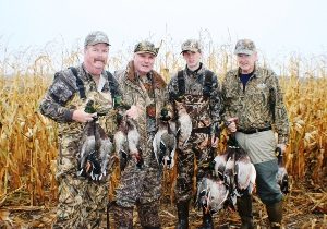 ducks1a