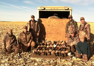 ducks3a