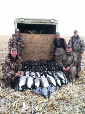 geese2a