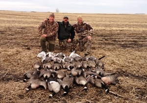 geese44a