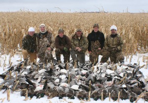 snowgeese4cc