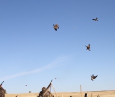 wrgeese1b