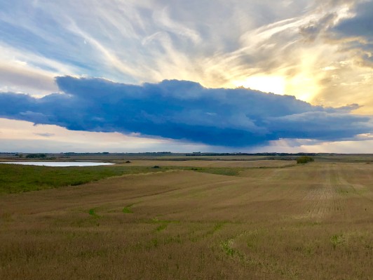 Goose Hunting Outfitter in North Dakota | Northern Flight Guide Service